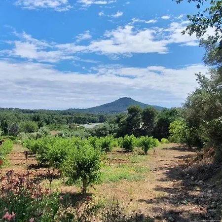 Le Beau Veze Kamp alanı *